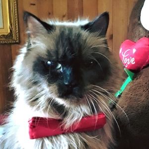 Meet your Posher, Esperanza